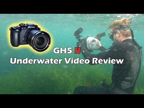 Panasonic GH5 II Underwater Video Review! (With Under Water Shots Filmed In La Jolla, California!)