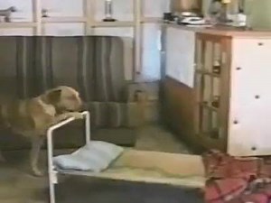 A quick prayer before bedtime never hurts. ♥ Talk & Text as low as $10/mo. www.InTouchAmerica.com/Best-Deals/ | InTouch America