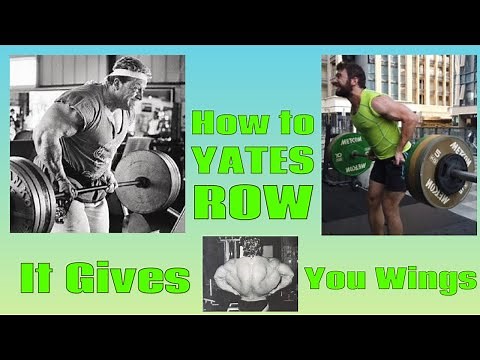 How to YATES ROW (INSANE total back developer!)