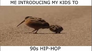 Actual footage | Jay R