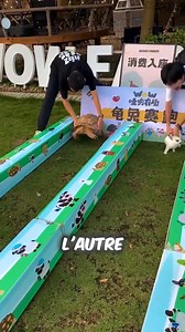 167K views · 3.2K reactions | Course Folle entre Lapins et Tortues Plus Drôle Que Jamais !  | Skevn le vrai | Facebook