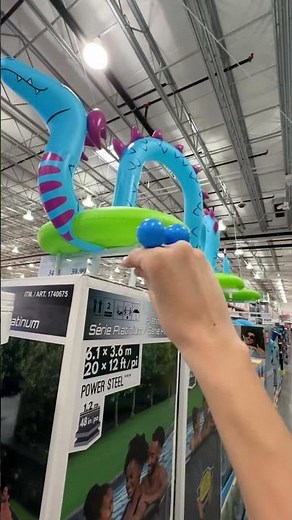 POV: you take Puppies to the store