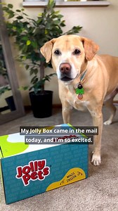 We get it—every dog is one-of-a-kind! That's why our subscription boxes come packed with a fetch toy, a tug toy, and a chew toy to match your pup’s play style. Whether you've got a tiny puppy or a big-time chewer, we've got the perfect toys to keep your furry friend happy and entertained. AND did you check out our 30th anniversary ball? With the Summer Jolly Box, your pup will be the first to get their paws on it! Just 12 days away until the Jolly Box starts shipping out! Sign up now at https://