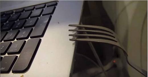 How To Get Rid Of Ants From Your Laptop In The Easiest And Most Natural Way