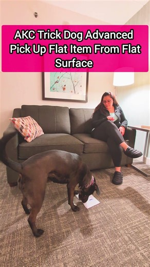 Pick Up a Flat Item From a Flat Surface