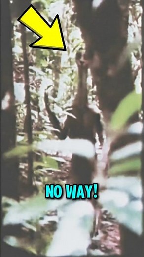 TOP 5 CRAZIEST REAL-LIFE MOMENTS YOU WON'T BELIEVE 📹