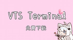 【VTubeStudio插件】VTS Terminal 正式版，完整功能演示！