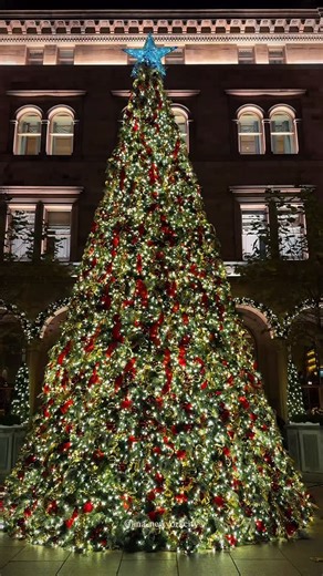Lina • New York City on Instagram: "🎄Holiday magic is in full glow at Lotte New York Palace ✨ A true Gossip Girl moment in the heart of NYC ❤️ XOXO, Merry Christmas 🌠 Tag the person you’d spend Christmas in NYC with and go to see this Christmas tree ❄️💫 LOTTE NEW YORK PALACE 📍455 Madison Avenue New York NYC . NYC, New York, nyctgo, Christmas, Christmas in New York, fall, November, decorations, nyc decorations, Christmas decorations, Dyker Heights decorations, travel, visit nyc, Brooklyn, Dyk