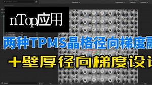 两种TPMS晶格径向梯度融合 壁厚径向梯度设计