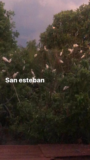 Manny Pacia on Reels