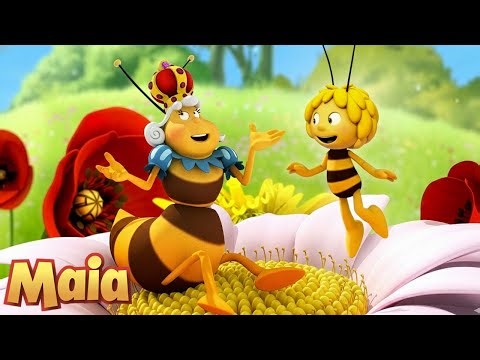 Maia aiuta la regina! 👑 L'Ape Maia 🐝 | Compilazione di Clip | Cartoni animati per bambini