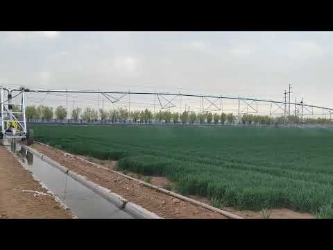 Four-Wheel Linear Irrigation#agriculture