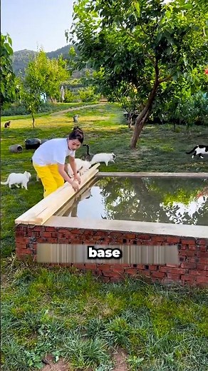 Nobody could believe what she did for these cats 😮