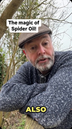 14K views · 627 reactions | Spider oil, a rare and precious substance but easy to make. Who knew that a bunch of arachnid bum string could do such wonders? . . . #spiders #spidersweb #spidersilk #aprilfoolsday | Eat The Country | Facebook