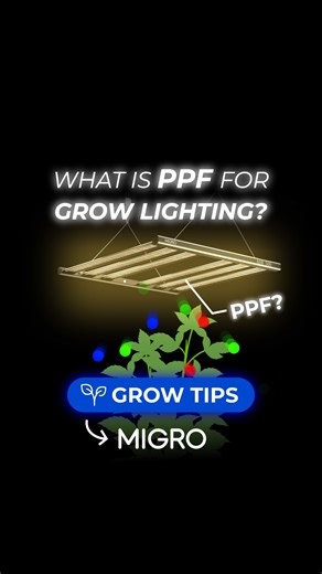 1.1K views · 15 reactions | What does ‘PPF’ mean in grow lighting? If you want to understand what all of the acronyms commonly used when talking about grow lighting, check out our latest Grow Tips reel and make sure to stay tuned for more coming like this. #migrolight #growtips #hydroponics | MIGRO | Facebook