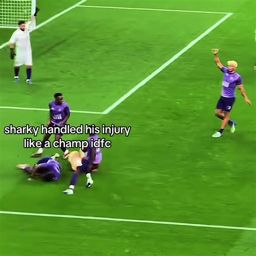 Incredible Resilience: Sharky's Brave Recovery After Injury