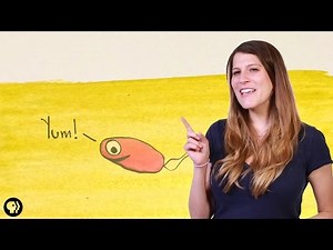 Three Ways Pee Could Change the World