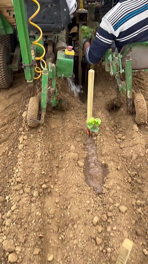 Chami (@chami33_)’s videos with son original - Chami