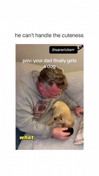 26K views · 1.2K reactions | Cuteness overload 凉 | Animal Memes | Facebook