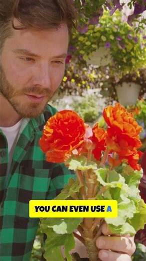 Unlock a Stress-Free Spring Garden—Start Planning This Fall!