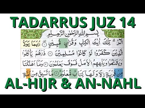TADARRUS JUZ 14 [AL-HIJR & AN-NAHL] ONE DAY ONE JUZ