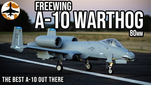 【搬运】最佳疣猪——Freewing 80mm A-10 疣猪 一周年使用评测