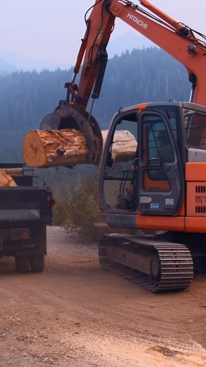 Loading up an old yellow cedar log at our quarry near Whistler BC #logging #backcountry #oldgrowth #cinematic #viral #fyp
