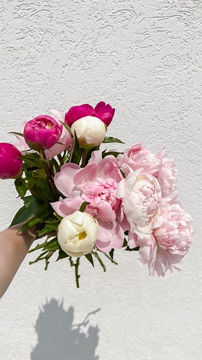 33 reactions · 8 comments | Check out these local blooms. Nature’s color palette never disappoints. #localflowers #homedecorstore #freshblooms #localfloralshop #flowersforhome #floraldecor #shoplocal #homedecorinspo #freshflowerdelivery #homeandflowers #floraldesign | Westbrook's Flower Shoppe | Facebook