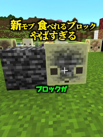 マインクラフト：サルファーキューブ検証