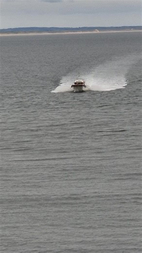 David Sutherland on Reels