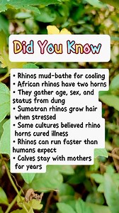 25K views · 72 reactions | Incredible Rhino Facts Explained #facts | IQ&Math 2.2 | Facebook