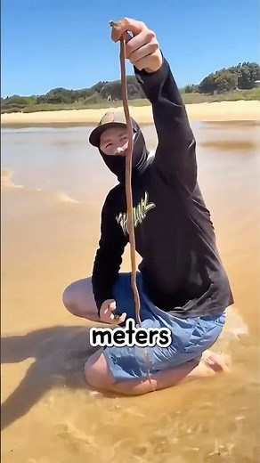 These Worms Will HUNT Your Food