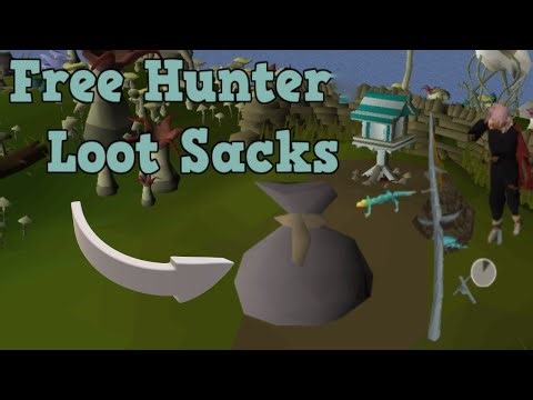 New Hunter QoL Update: Auto-Reset Birdhouses & Net Traps!