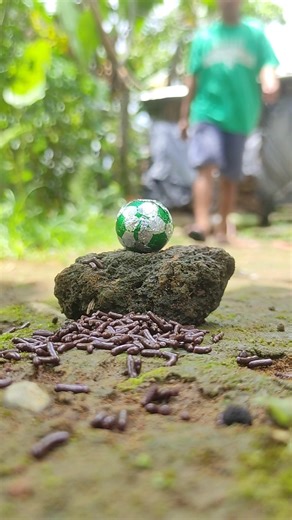 magic chocolate ball, able to attract the attention of millipedes #millipede #millipedes #shorts