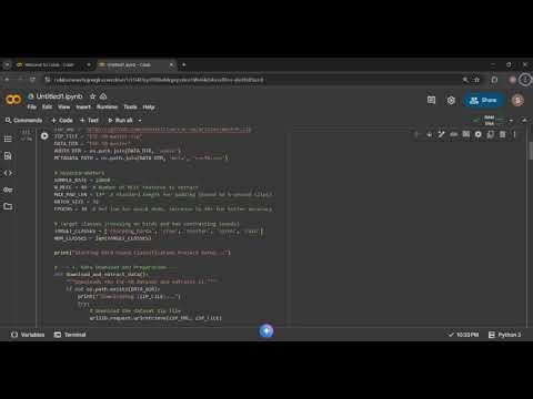 Student Explaining Their MINI Project