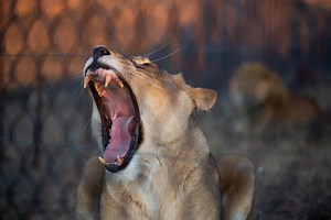 80K views · 10K reactions | Do you ever wake up on Monday mornings...