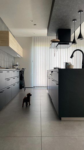 anneii. on Instagram: "｜ ・ #ちょびのいる暮らし ・ 個人的に、ラストの #突如始まる全力疾走 がだいすき笑 ・ 耳をなびかせながら駆け抜ける姿に 毎回笑いが止まらない笑 ・ ・ ・ #犬のいる暮らし #いぬとの暮らし #いぬすたぐらむ #トイプードル #ティーカッププードル #タイニープードル"