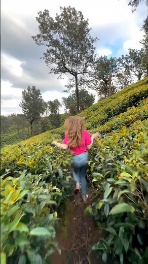 Wayanad through my eyes!😍 #invertedcoconut #wayanad #kerala #aparnamulberry