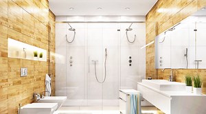 The Pros and Cons of His and Hers Shower Heads