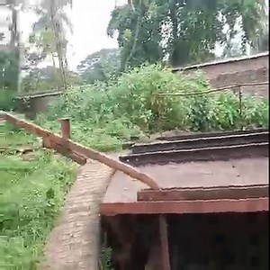 Manual train navigation | Extreme Machines