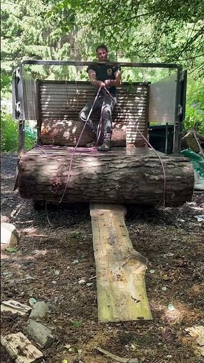 Rolling a log . #woodworking #wood #tree