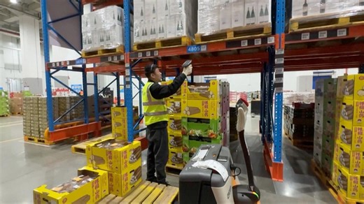 AI revolutionizes China's digital warehousing industry