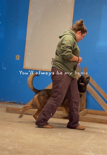 Training isn’t just about obedience—it’s about building a bond. 💙 Watch Paige and Jimmy in their element, proving that great training starts with love and trust. 🐾✨ #TrainForLife #dogtraining #malinois #workingdog #bonding #OverwatchK9 #fyp