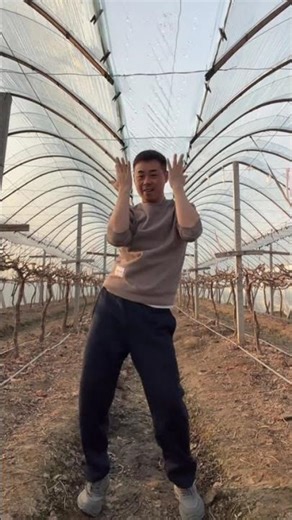 Spring Festival DJ Hits: Learn Dance Moves from Scratch