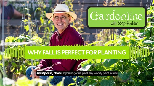 1.3K views | Fall gardening is absolutely magical, y'all!  While...