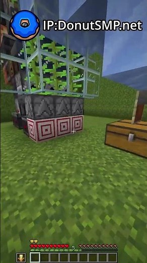 Donut SMP *New* OP Kelp Farm V2