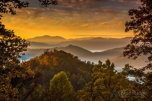 Fall Color and Foliage Guide for 2025