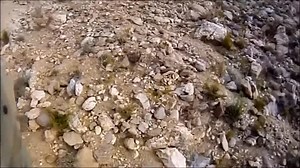 Part 3 | Xavier Estrada