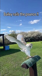 Bailey nails the pounce !!