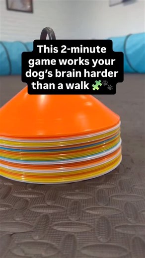 15 reactions · 4 comments | Reposted from @listendogtraining Sniffing...